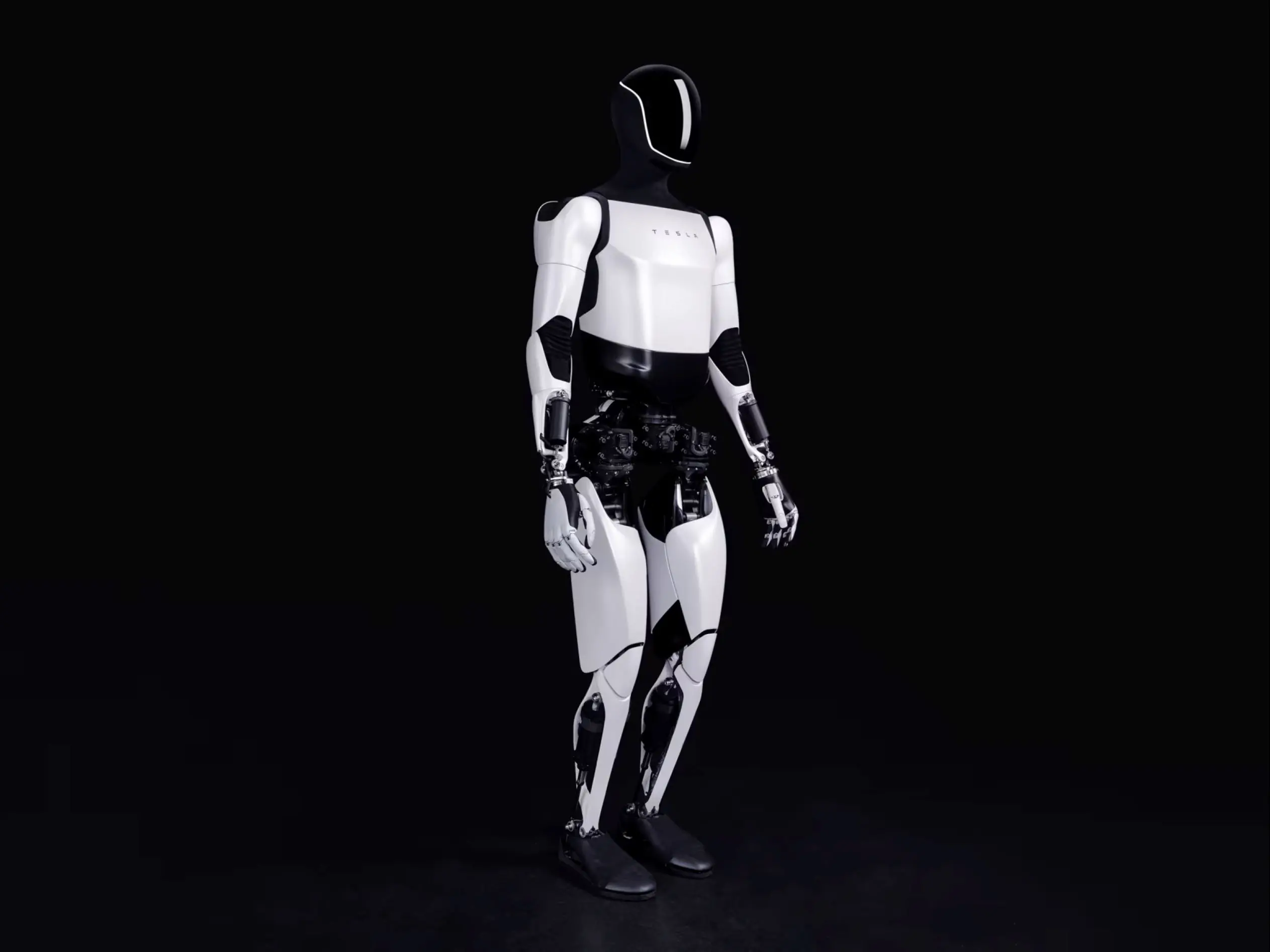 Tesla-Bot-AI