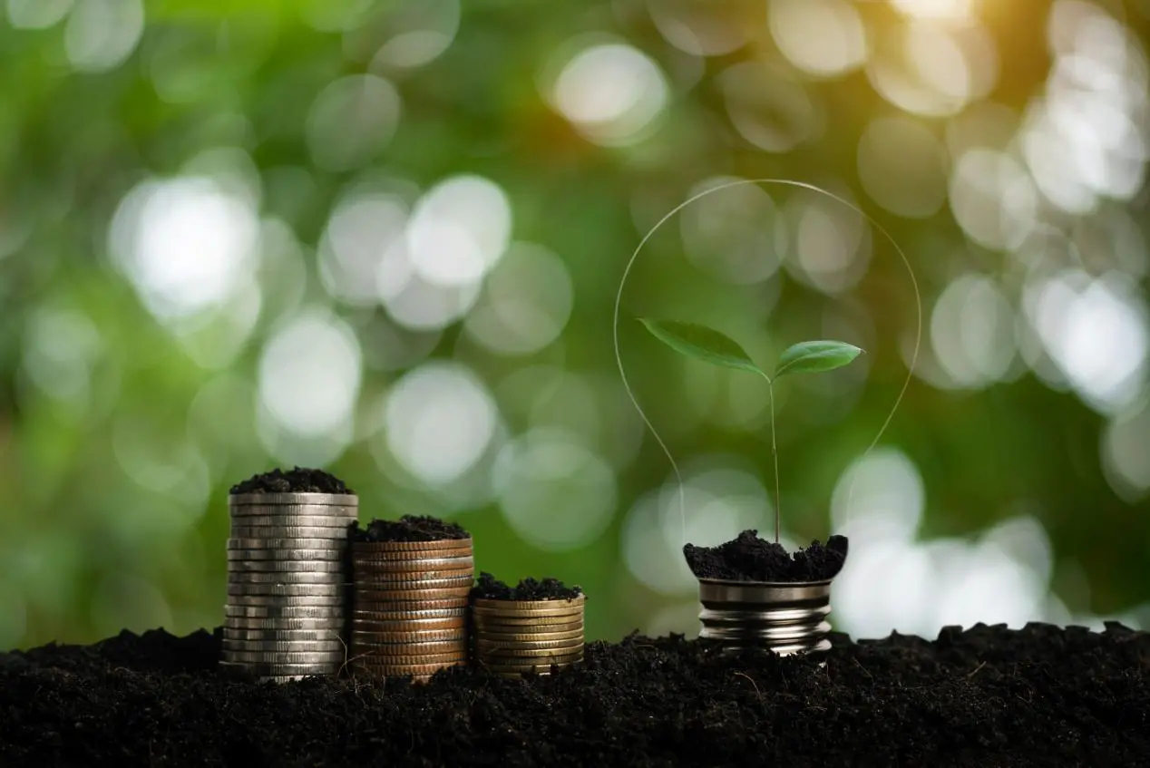 saving-accounting-and-financial-concept-2024-12-19-15-03-08-utc